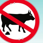 Bullshit in Russian: should an adjective derived from a noun mean the same?